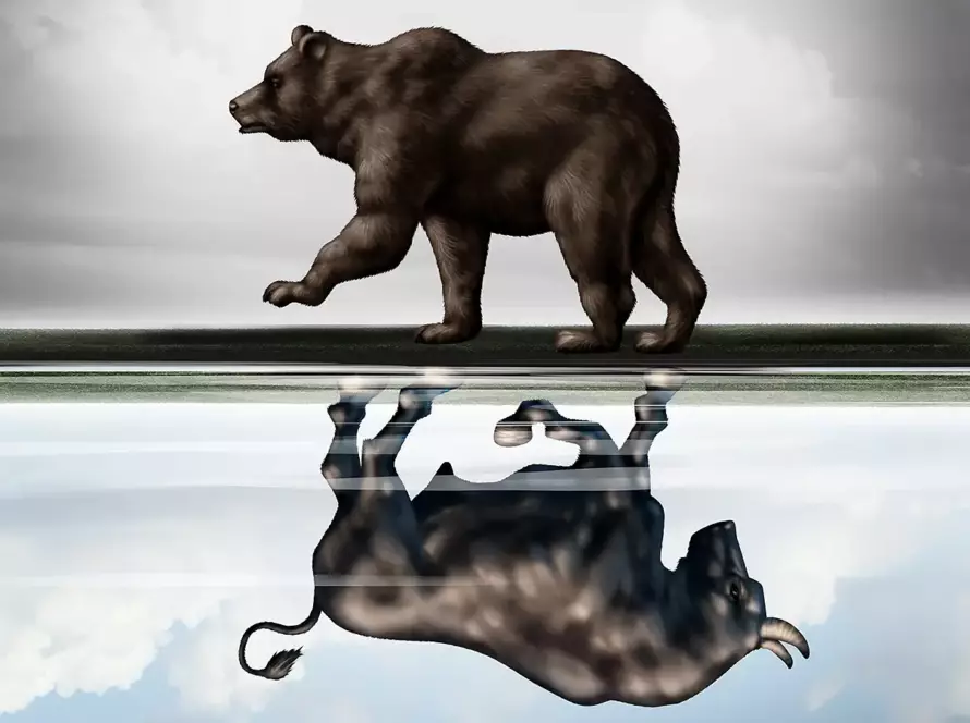 Akcie ovládl medvěd - medvědí trhy