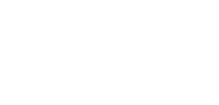 logo Pultar a partneři s.r.o. (registered)
