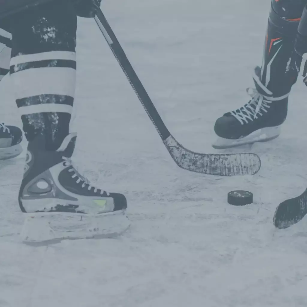 Dlouhodobé poradenství pro vrcholové sportovce - hokej